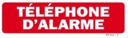 Image de Téléphone d'alarme 60x200 mm