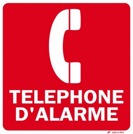 Image de Téléphone d'alarme 200x200 mm