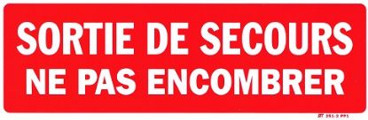 Image de Sortie de secours 300x100 mm